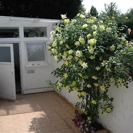 Jette * Oestrich-Winkel