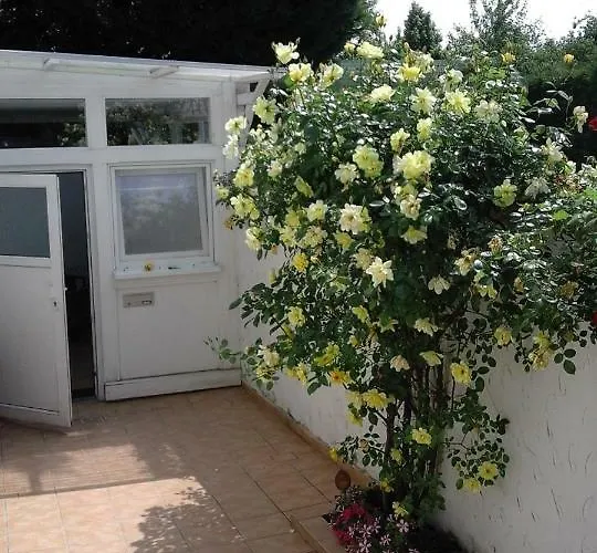 Jette * 웨스트리크윈켈